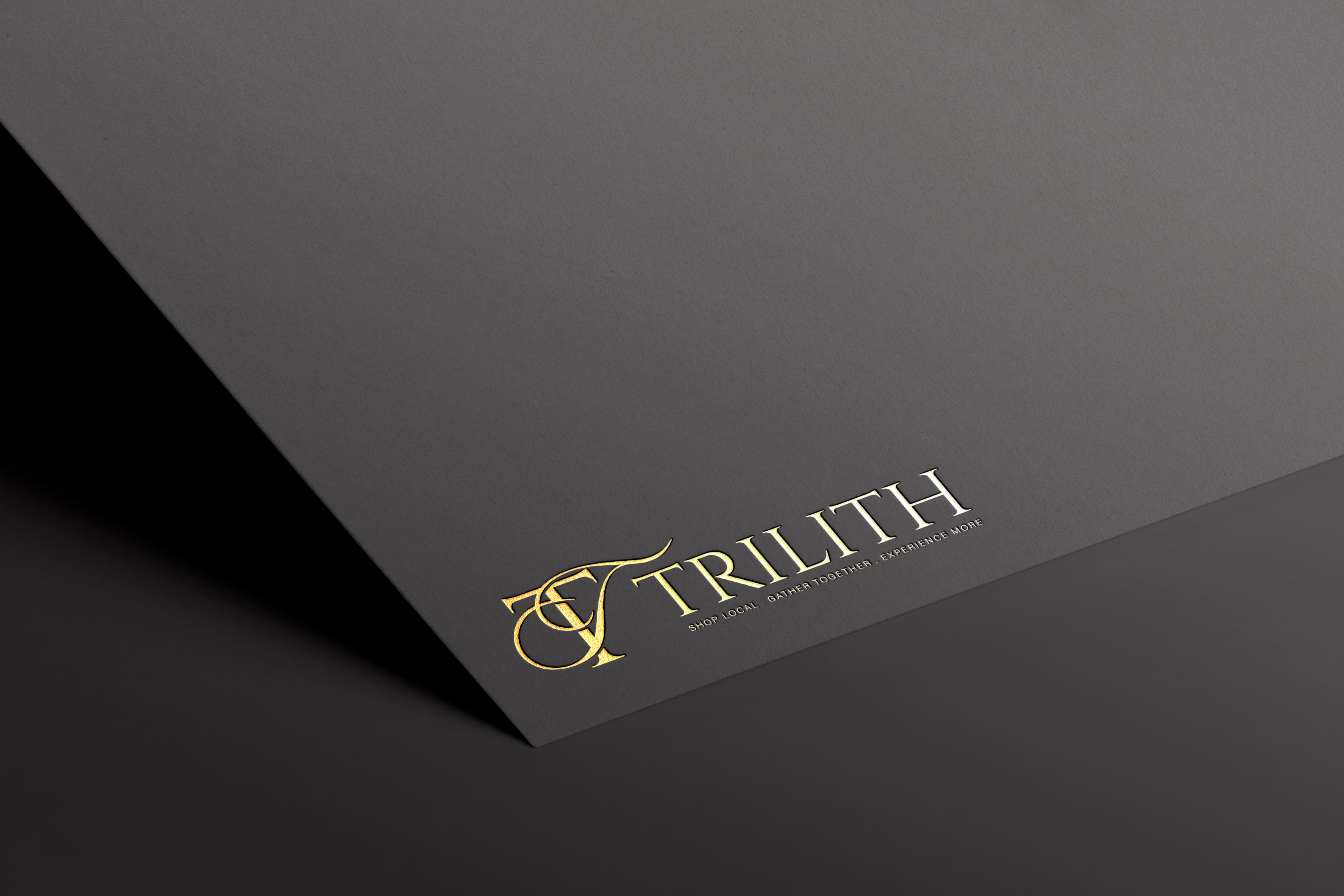 Portfolio 65
